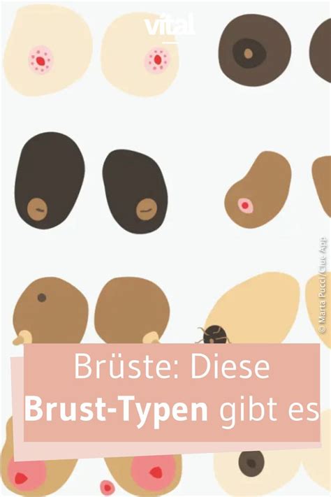 brustwarzen ficken|Brüste: verschiedene Brustformen und Brustwarzengrößen